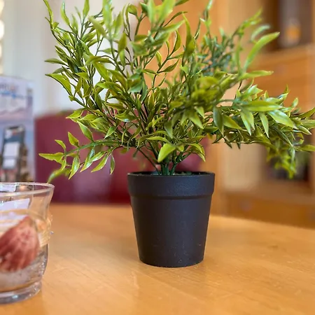 Appartement Seeschwalbe 16